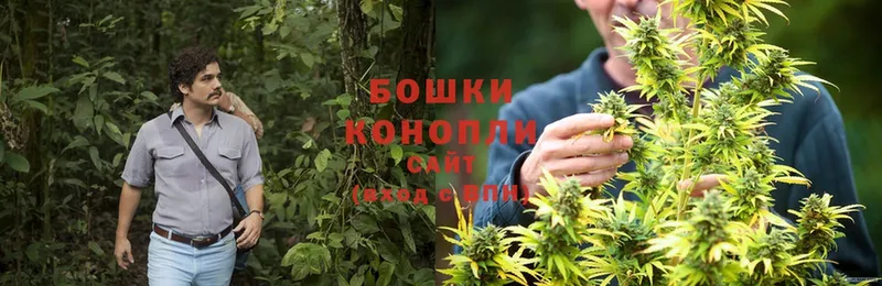 дарнет шоп  Белинский  Шишки марихуана Ganja 